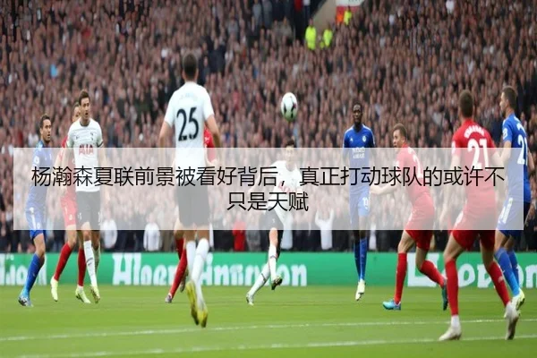 杨瀚森夏联前景被看好背后，真正打动球队的或许不只是天赋 - huatihui